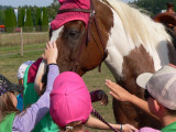 P1100090.jpg